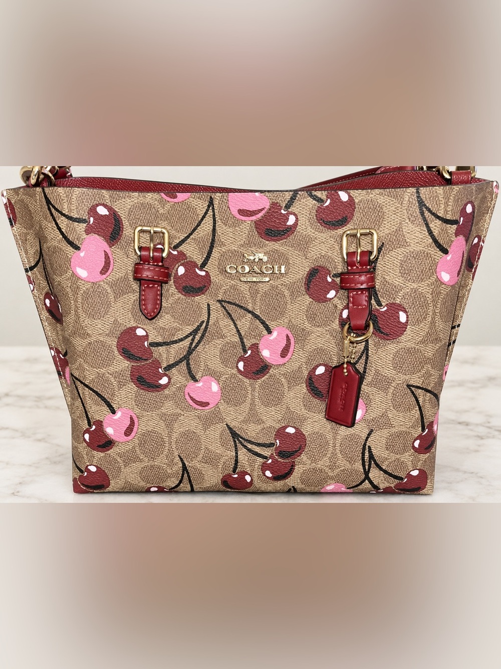 COACH 🍒🍒🍒Mollie Tote 25 Cherry Print Signature Canvas Crossbody CZ772🍒🍒🍒